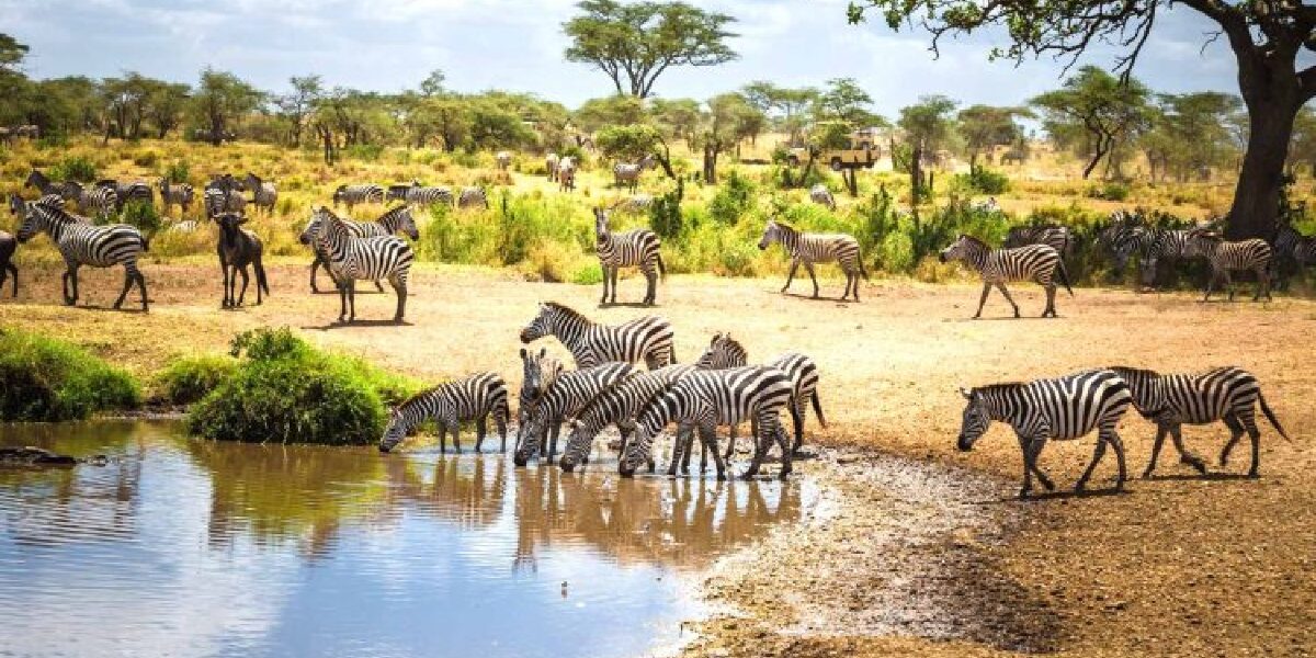 Afrikai kalandozás: Zanzibár és Tanzánia