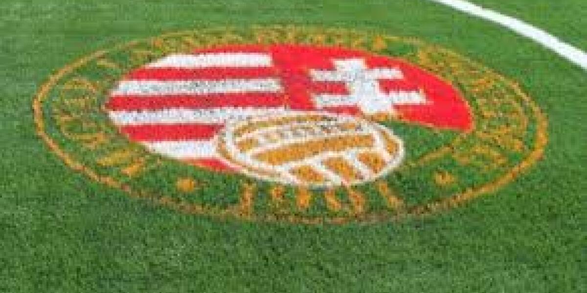 Magyarország - Hollandia Labdarúgó Mérkőzés